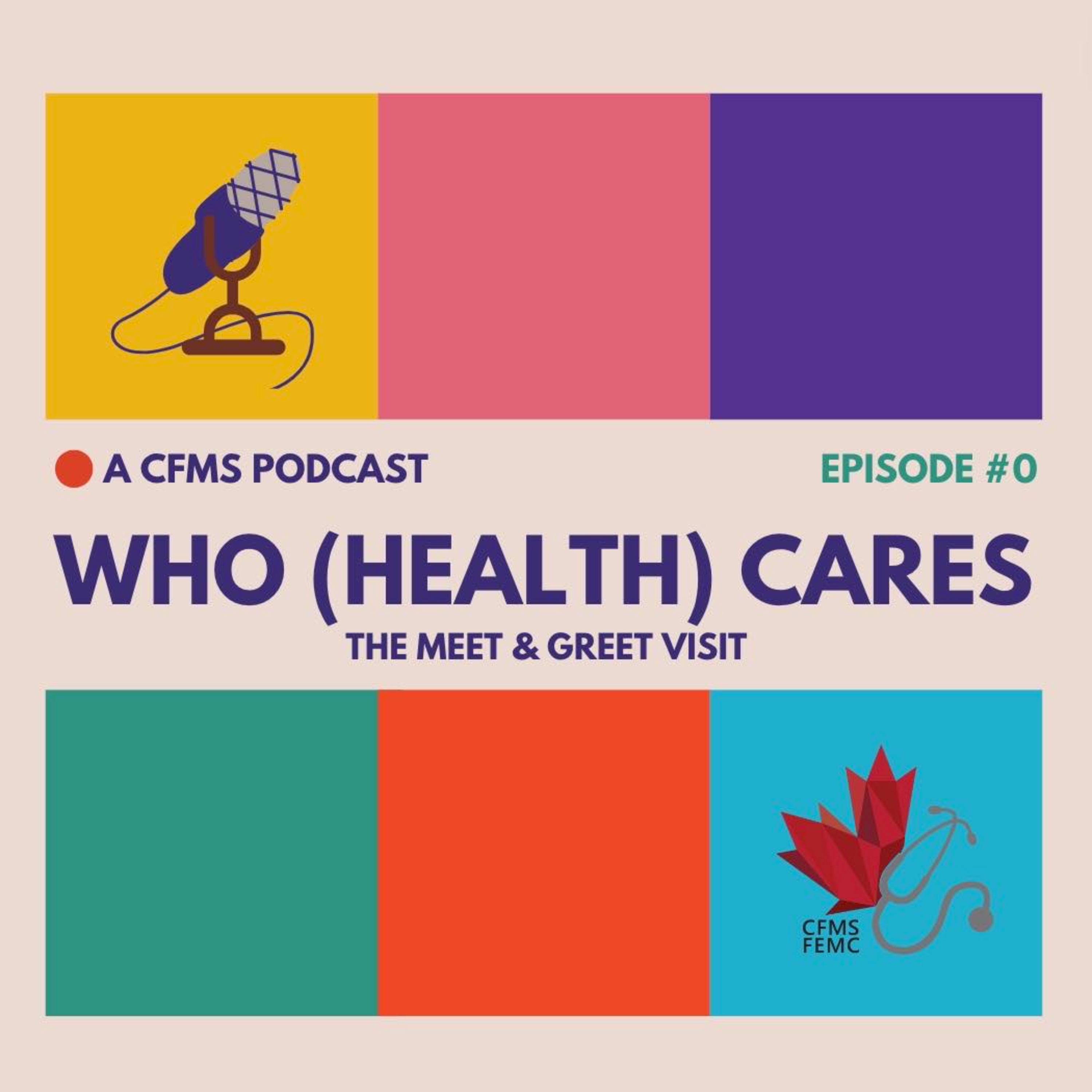 Who (Health) Cares #0 - The Meet and Greet Visit