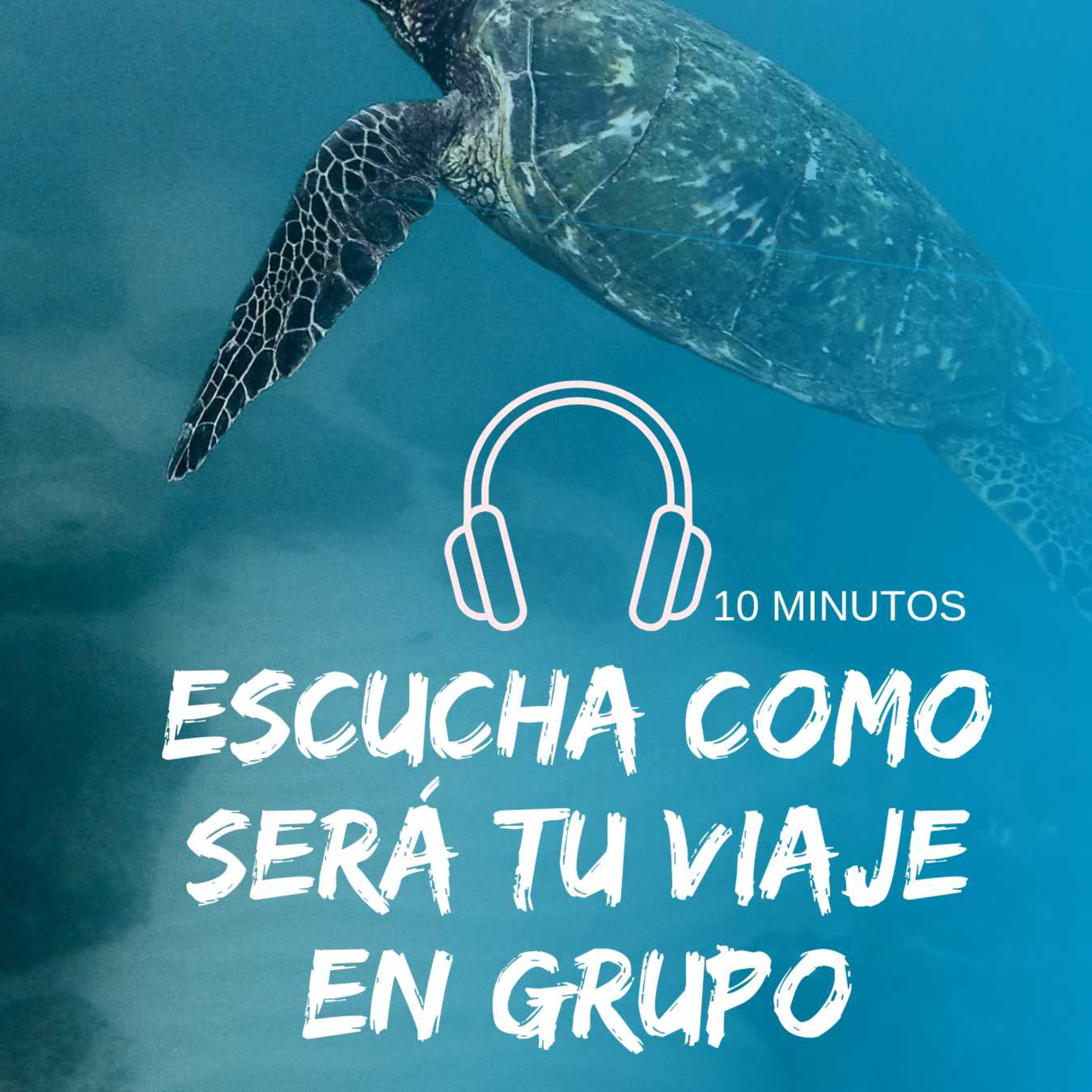 El viaje del voluntario