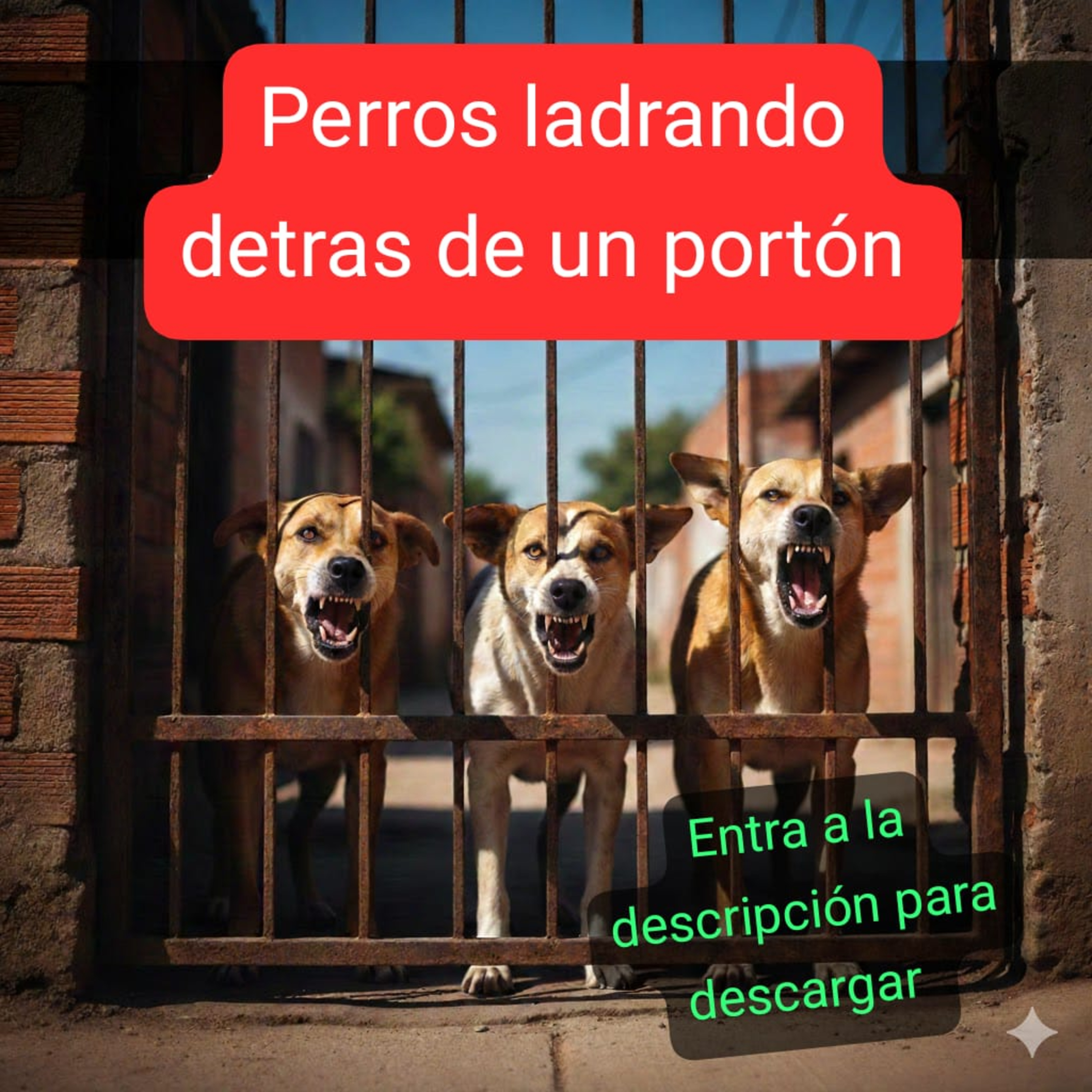 Perros ladrando detras de un porton episode artwork