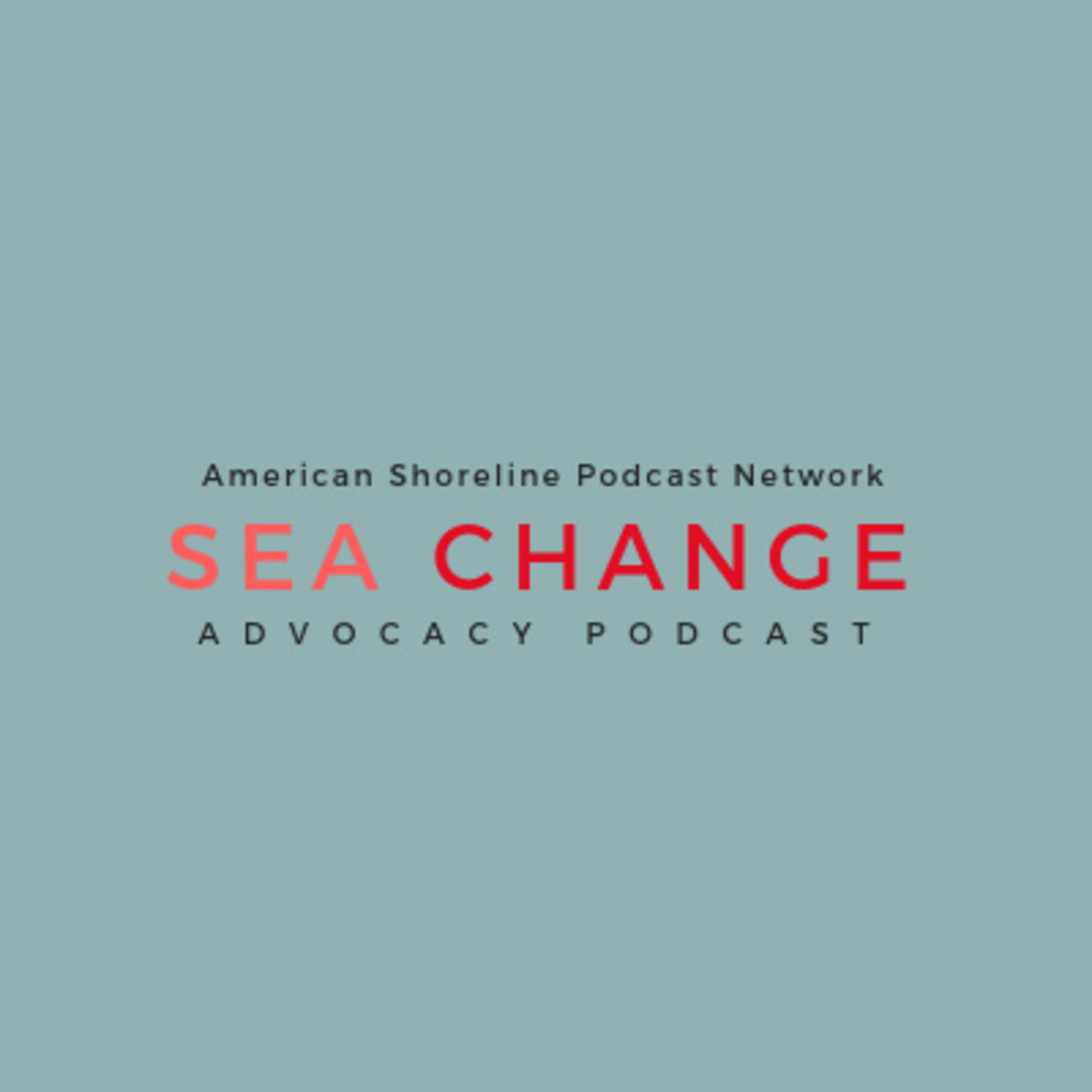 Horseshoe crab tagging with the American Littoral Society | Sea Change episode artwork