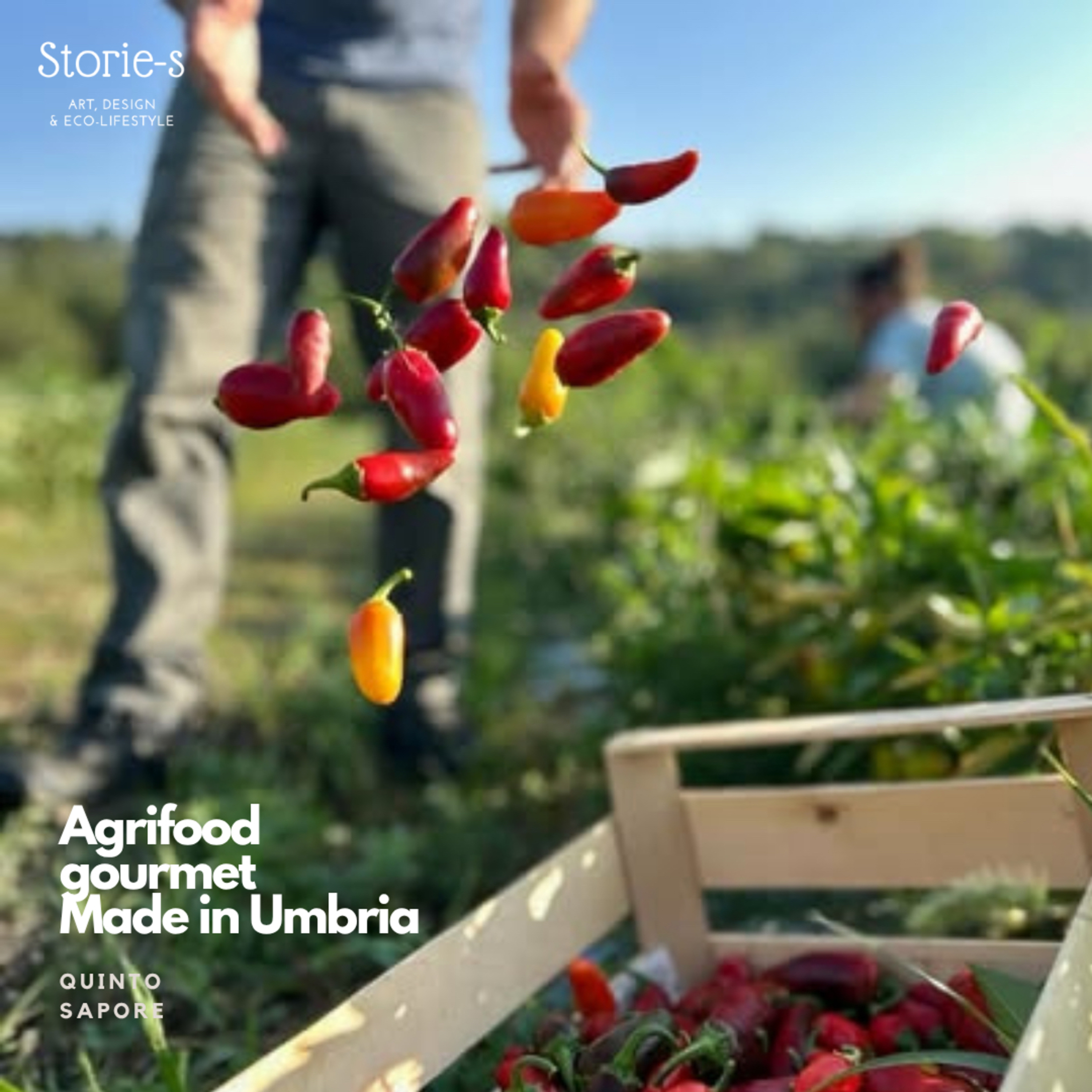 Storie-s. We have a passion for the authentic stories