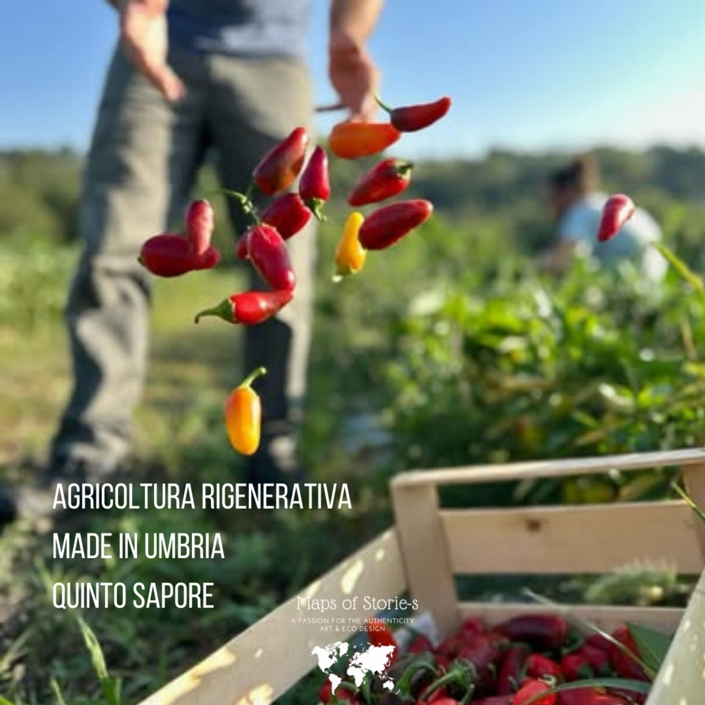 Maps of Storie-s. A passion for the authenticity