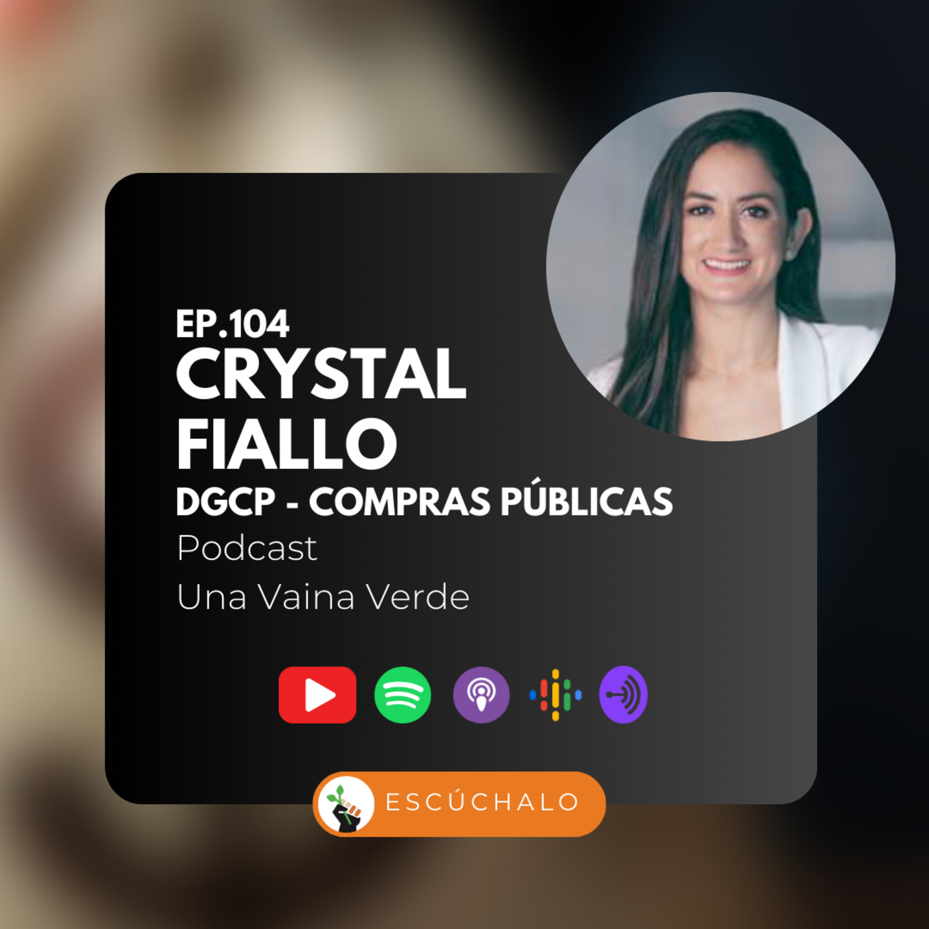 104 - Crystal Fiallo de la DGCP 
