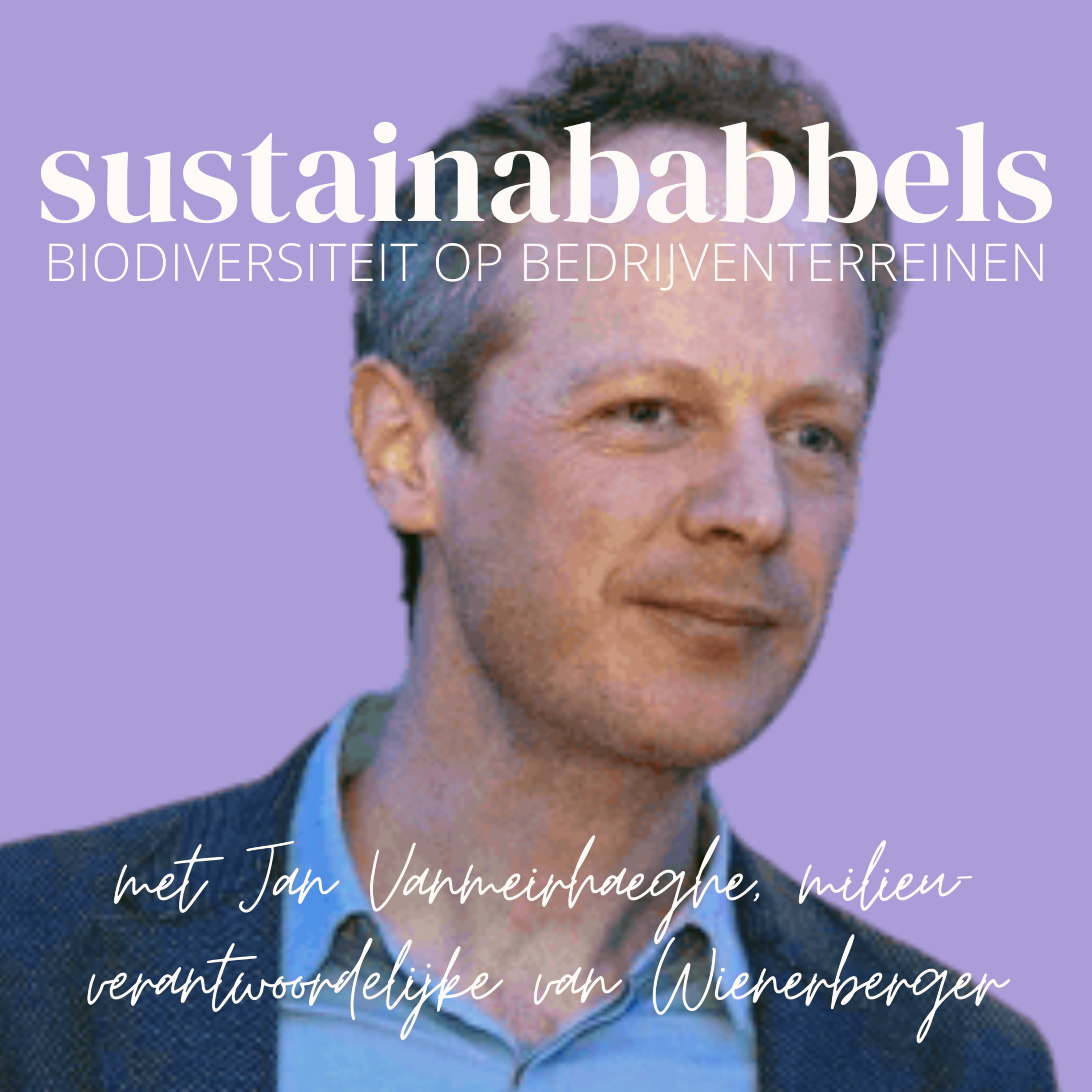 Sustainababbels