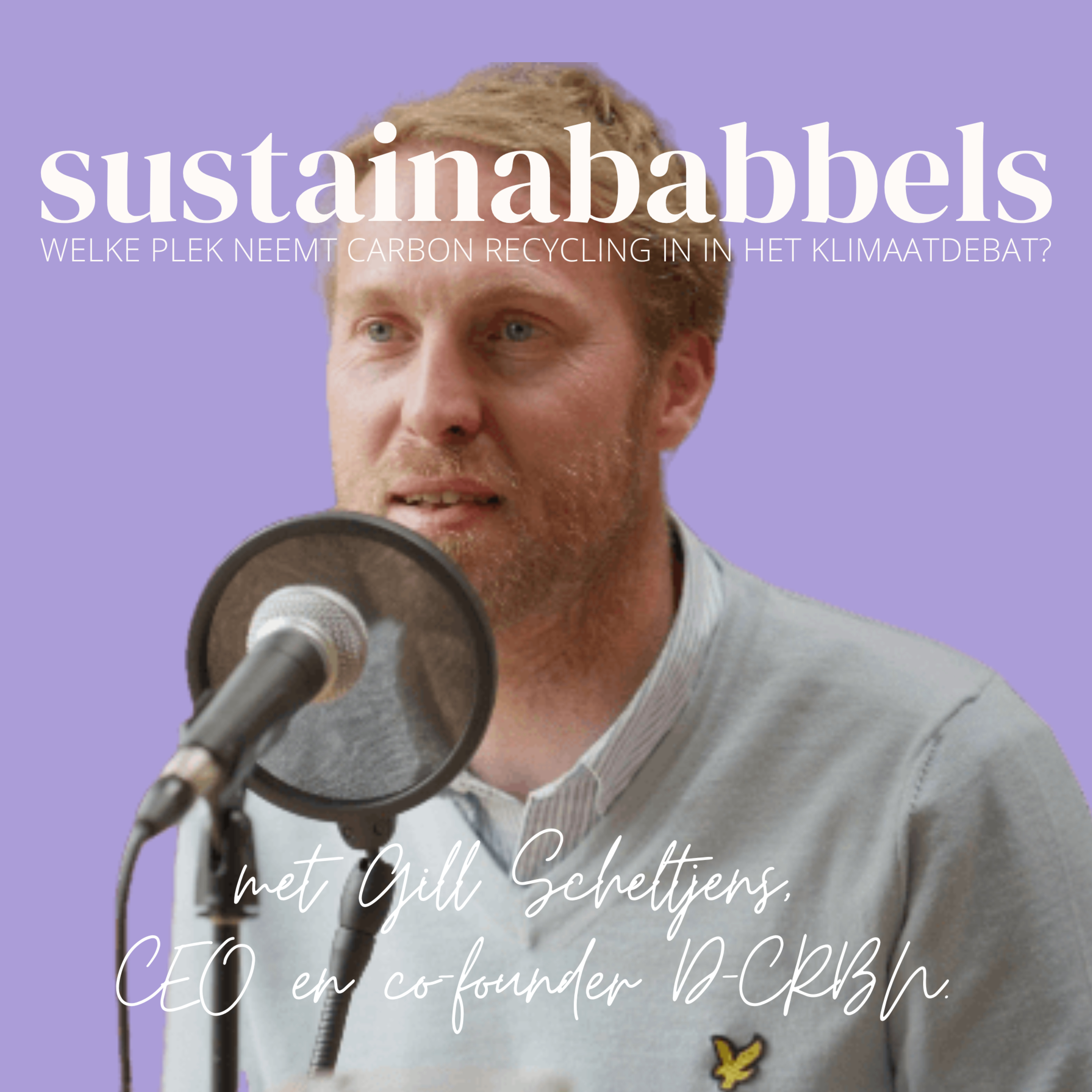 Sustainababbels