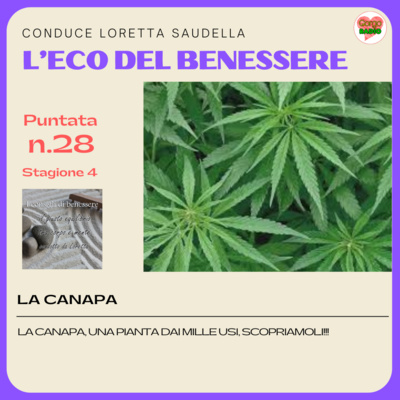 Canapa, demonio o pianta dalle infinite possibilità ?- #iconsiglidibenessere - P28 - S4