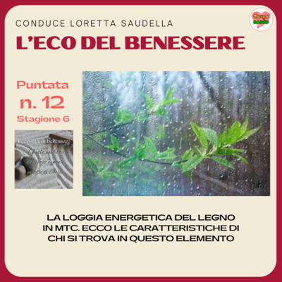  La loggia energetica del legno in MTC - #lecodelbenessere - P12- S6