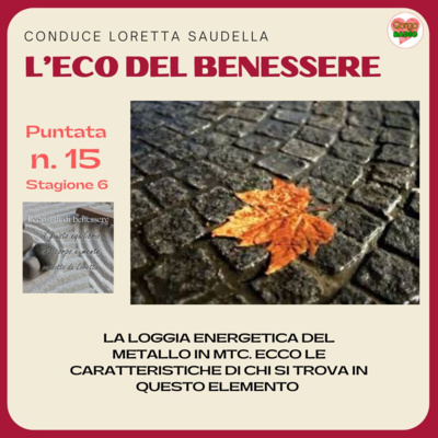 La loggia energetica del Metallo in MTC - #lecodelbenessere - P15- S6