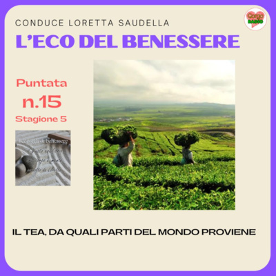 il tea, da quali parti del mondo proviene - #iconsiglidibenessere - P15 - S5