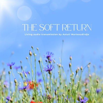 #81 - The Soft Return - "At The Threshold" - Transmission Series
