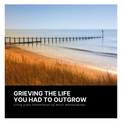 #78 - Grieving the Life You Had to Outgrow - "At The Threshold" - Transmissions series
