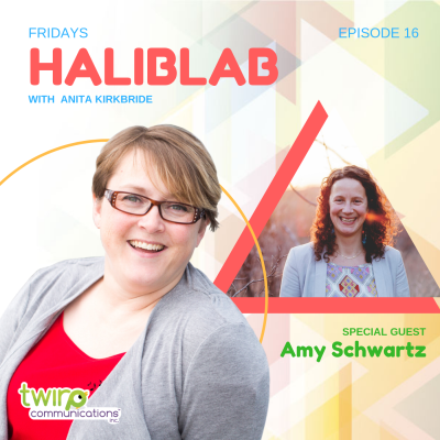 Ep 16: Travel and Work Remotely with Amy Schwartz