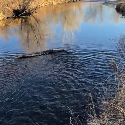 Guided Meditation | Replace Fear with Love