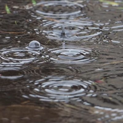 Guided Meditation - Returning to Calm