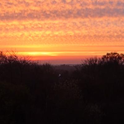 Morning Yoga Nidra | Start Your Day with Calm and Clarity