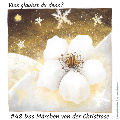 #48 Das Märchen von der Christrose