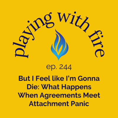 244 But I Feel like I’m Gonna Die: What Happens When Agreements Meet Attachment Panic