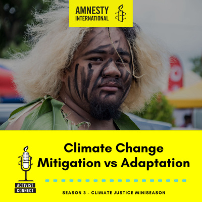 Climate Change Mitigation vs Adaptation