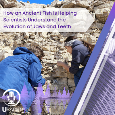 U Radio News: How an Ancient Fish is Helping Scientists Understand the Evolution of Jaws and Teeth