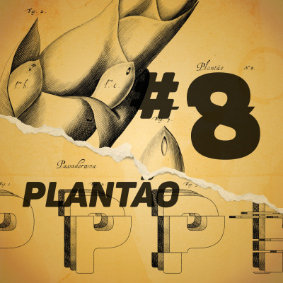 Plantão #08 - O mundo diante da pandemia