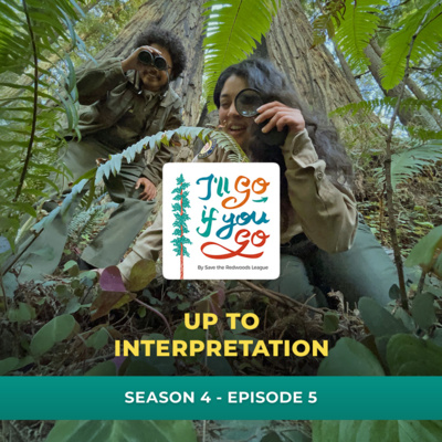 Up to interpretation