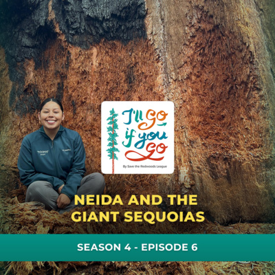 Neida and the Giant Sequoias