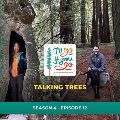 Talking Trees