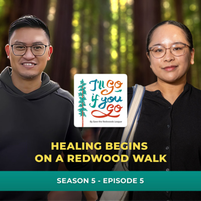 Healing Begins on a Redwood Walk
