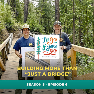 Building More Than "Just a Bridge"
