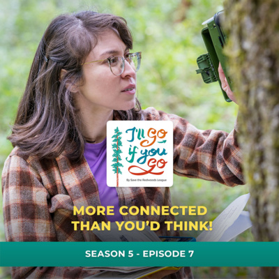 More Connected Than You’d Think!