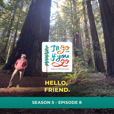 Currently playing episode