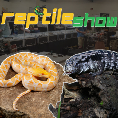 Reptiles With • A podcast on Spotify for Podcasters