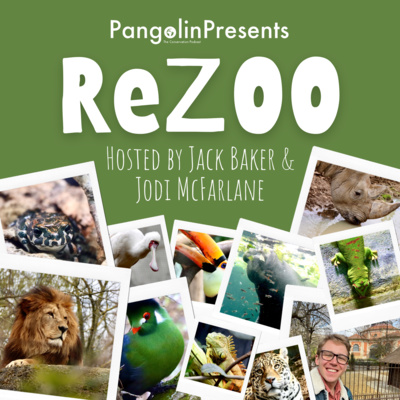 ReZOO #28: Parc Zoologique de Paris & La Ménagerie, le zoo du Jardin des Plantes!