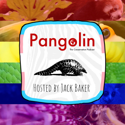 99. Queer is Natural! (with Christine Wilkinson - Conservation Biologist, Carnivore Ecologist & Science Communicator) [Pangolin Pride]