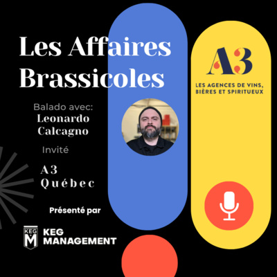 🎧 Les Affaires Brassicoles #450 | A3 : Les Québécois repensent leur consommation d’alcool