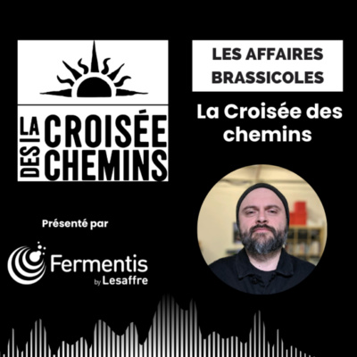 🎙️Les Affaires Brassicoles x Fermentis | La Croisée des chemins