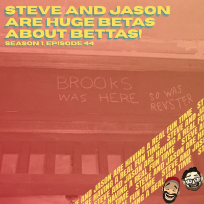 Steve and Jason Are Huge Betas About Bettas!