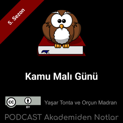 Akademiden Notlar 132: Kamu Malı Günü