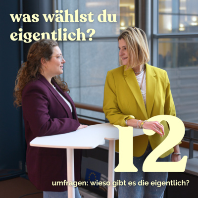 EU edition | umfragen: wieso gibts die eigentlich?