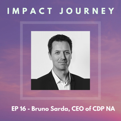 Bringing calm intensity to sustainability - Bruno Sarda, CEO of CDP North America