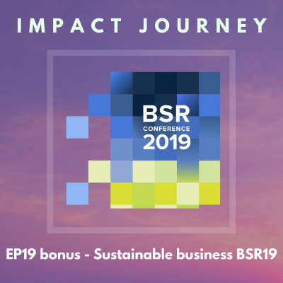 Bonus: The state of sustainable business at BSR19