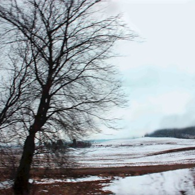 Series 3, Episode 7. A February Walk