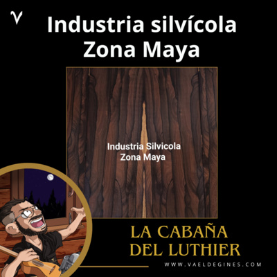 Entrevista con Elliot, de Industria Silvícola Zona Maya