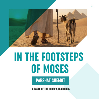Torah Class - Parshat Shemot: In the Footsteps of Moses