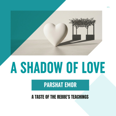 Torah Class - Parshat Emor: A Shadow of Love