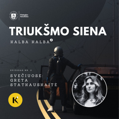 Kalba kalba kvadratu. Triukšmo siena