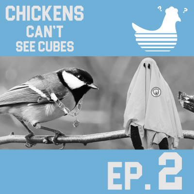 Episode 2: Chickens Can't See David Boreanaz