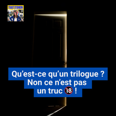 Qu’est-ce qu’un trilogue ? Non ce n’est pas un truc 🔞 ! 