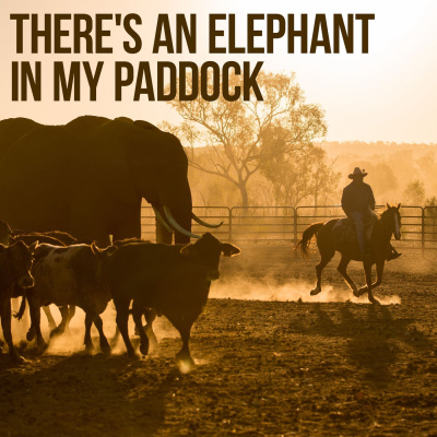 There's an Elephant in my Paddock- Australia's rural vet crisis