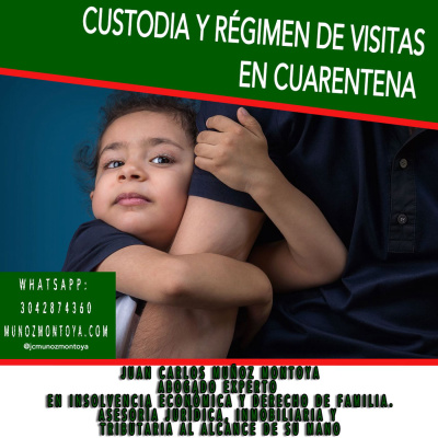 ¿Cómo cumplir con el régimen de custodia y visitas de tus hijos en la cuarentena?